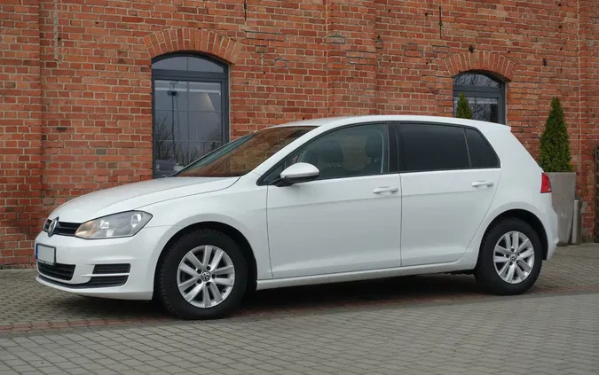 volkswagen Volkswagen Golf cena 33900 przebieg: 271000, rok produkcji 2013 z Czarne